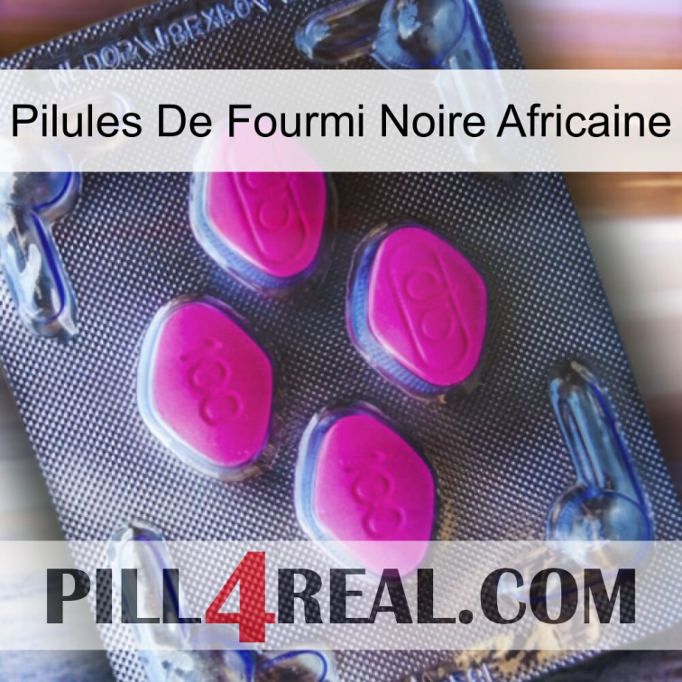 African Black Ant Pills 02